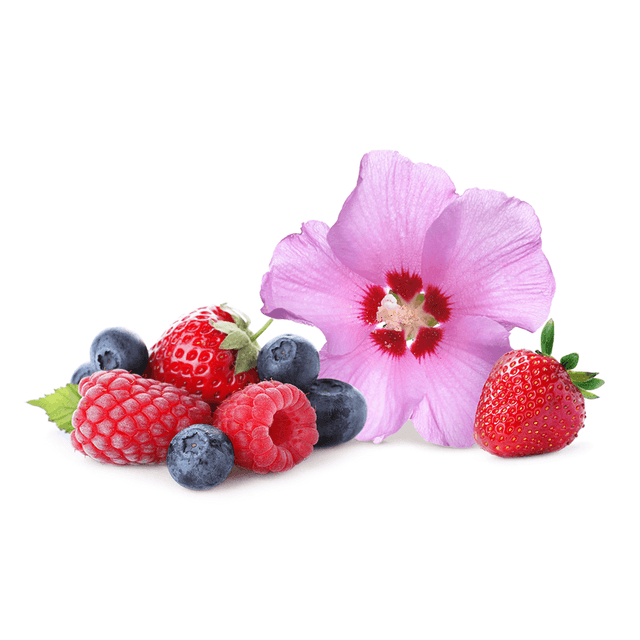 Mixed Berry Hibiscus