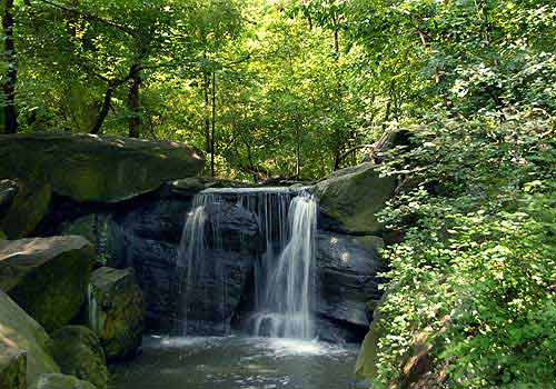 Time to Ravine and Lock in the best Central Park bike tours